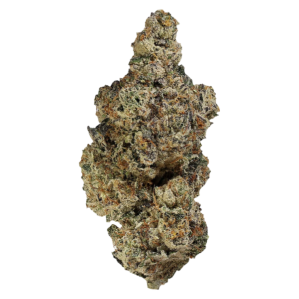 Homestead - Bandwagon Indica