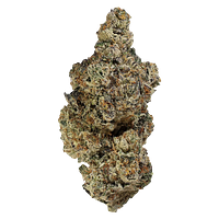 Homestead - Bandwagon Indica