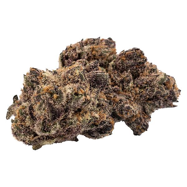 SUMO - Pheno image 1