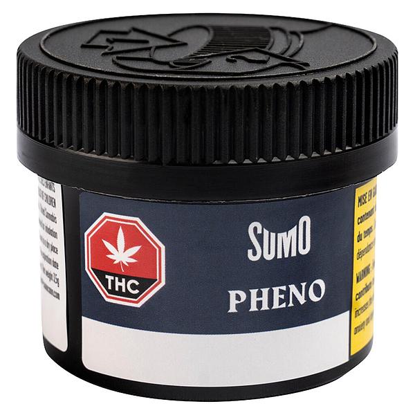 SUMO - Pheno image 2