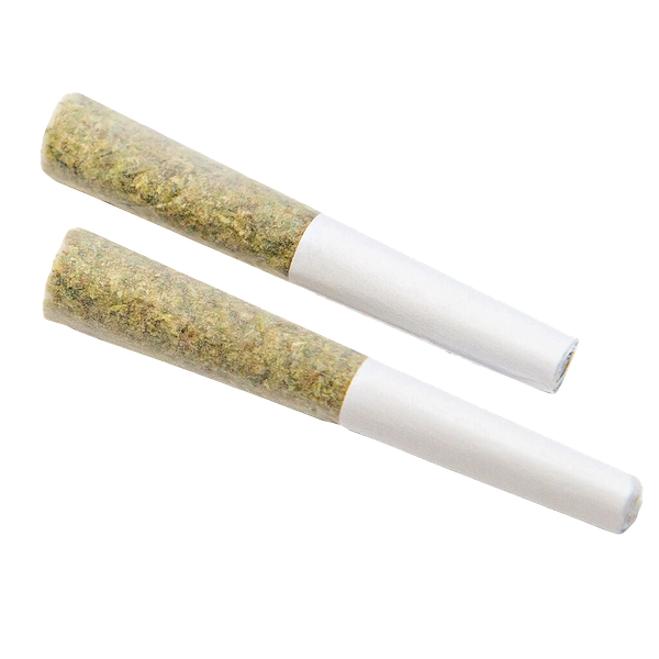 Color Cannabis - Mango Haze Pre Roll