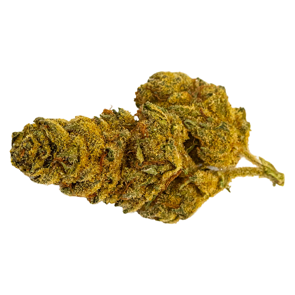 Dykstra Greenhouses - Wreck & Leisure