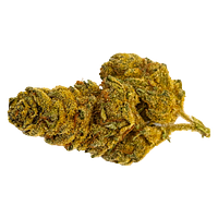 Dykstra Greenhouses - Wreck & Leisure