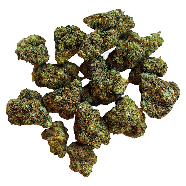 BOLD - Root Beer Float