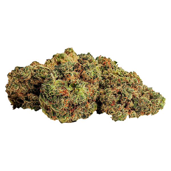 BOLD - Root Beer Float