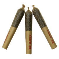 Dab Bods - Blueberry Resin Infused Pre-Roll