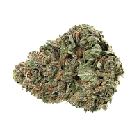 Homestead - Bandwagon Hybrid