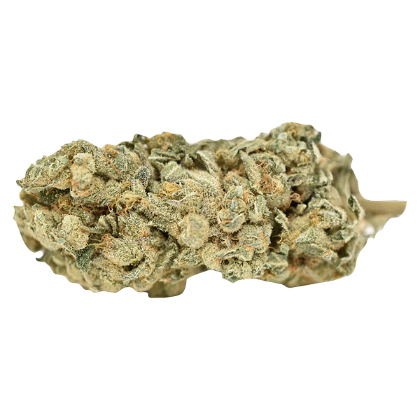 Weed Me - Blue Iguana