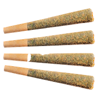 Fuego - Sunny Daze Pre Roll