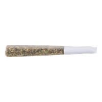 The Loud Plug - Gold Seal Hash Snake Infused Pre Roll