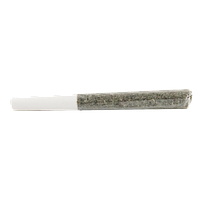 5 Points Cannabis - Assorted Multi Pack Pre Roll