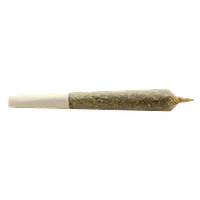 Buddy Blooms - Big Buddy Indica Pre Roll