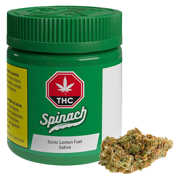 Spinach - Sonic Lemon Fuel