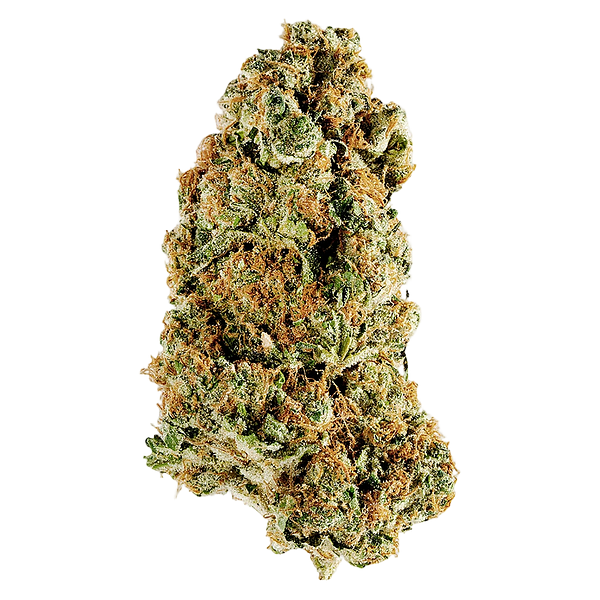 Redecan - Animal Rntz