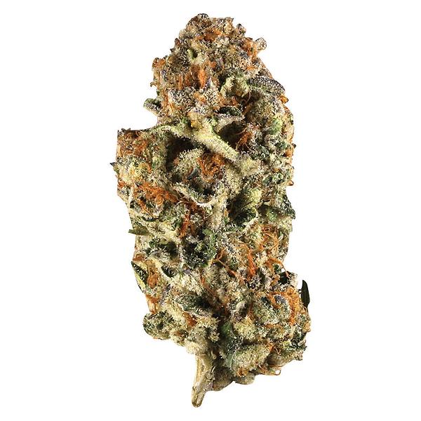 Station House - Canadian Northern Series image 1