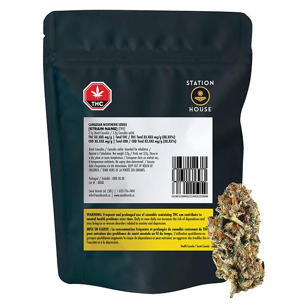 Station House - Canadian Northern Series image 4