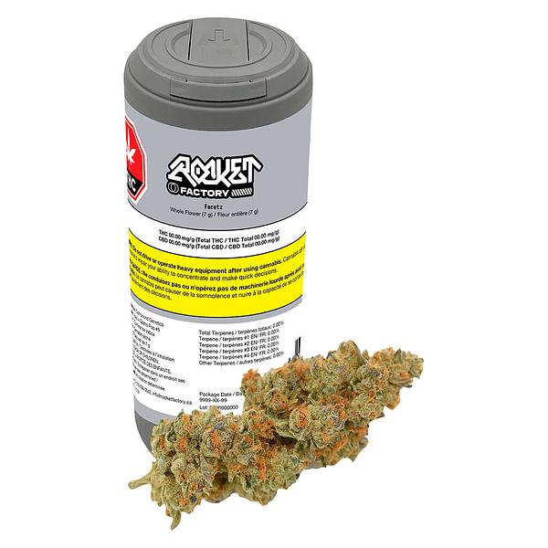 Rocket Factory - Facetz image 4