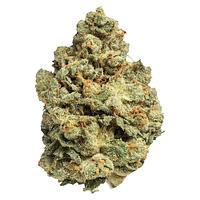Pepe Gold - Cole's Kush