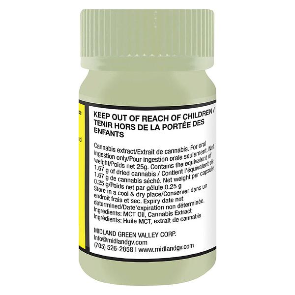 QCBD - High CBD 100 Soft Gels image 3