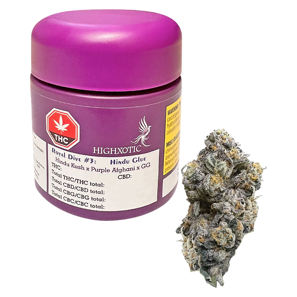 HighXotic - Royal Dive #3: Hindu Glue