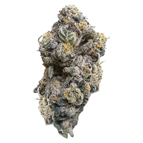 HighXotic - Royal Dive #3: Hindu Glue