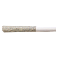 Truro - Jealousy x Apples & Bananas Pre-Roll
