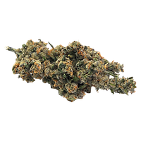 Truro - Jealousy x Apples & Bananas