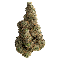 The Loud Plug - With Love from Scarborough - Craft Collective