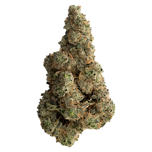 The Loud Plug - With Love from Scarborough - Craft Collective