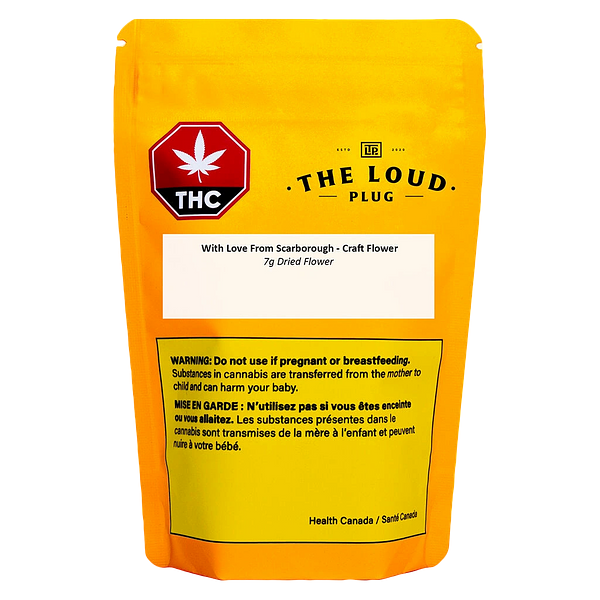 The Loud Plug - With Love from Scarborough - Craft Collective