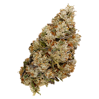 Top Leaf - Alaskan TF