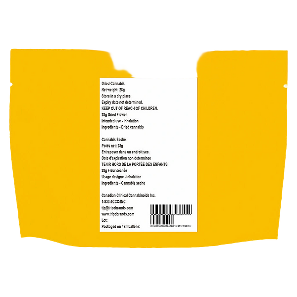 The Loud Plug - With Love from Scarborough - Craft Collective