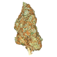 Cannabiomedic - Future Island