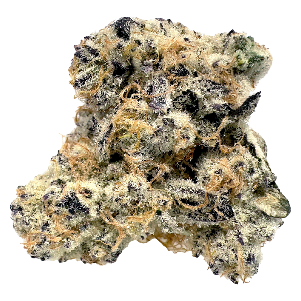 BLK MKT - Exclusives