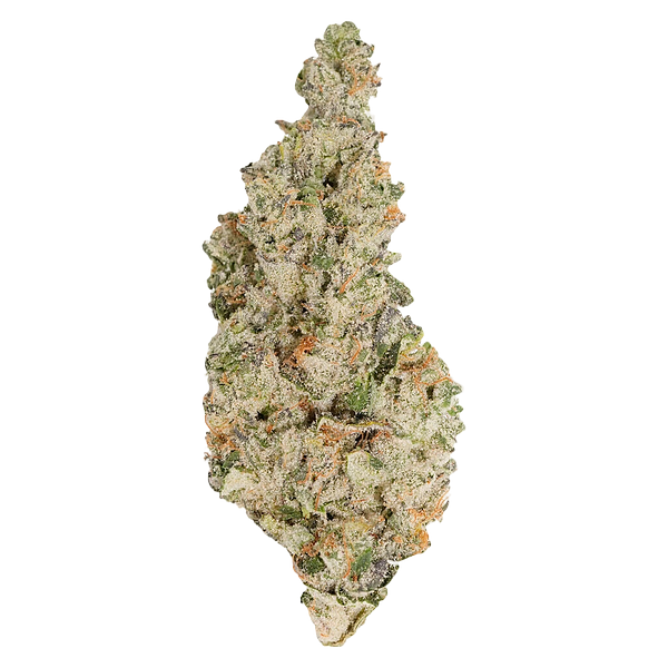 Always Toasted - Hawaiian Face