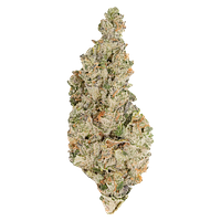 Always Toasted - Hawaiian Face