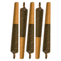 Sheeesh! - SMRF Infused Pre-Roll