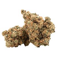 Retro Haze - House Of Hazes