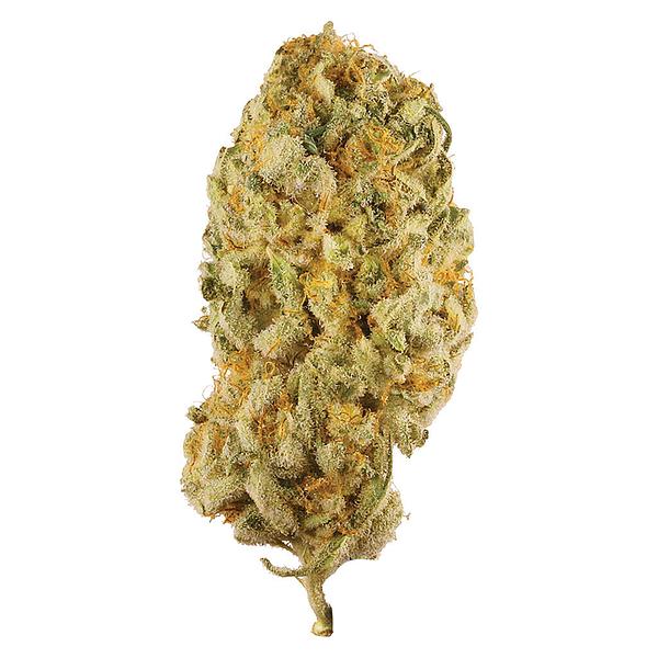 Station House - Jack Herer image 1