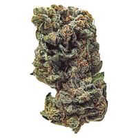 True Fire - Gasolina