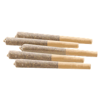 Woody Nelson - Rainbow Driver Pre-Rolls