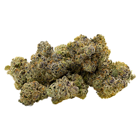 Endgame - The Gas Pack