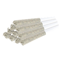 MSIKU - The Tenner Pre-Roll