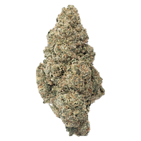 Crooked Dory - AAA+ Sativa