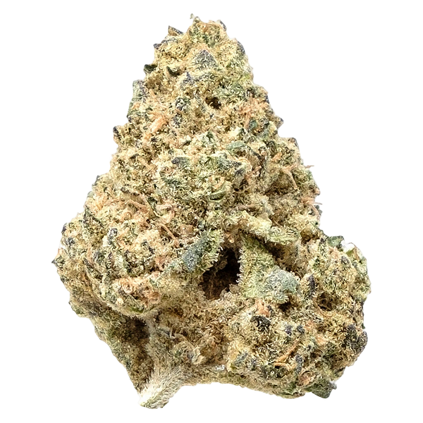 Crooked Dory - AAA+ Sativa