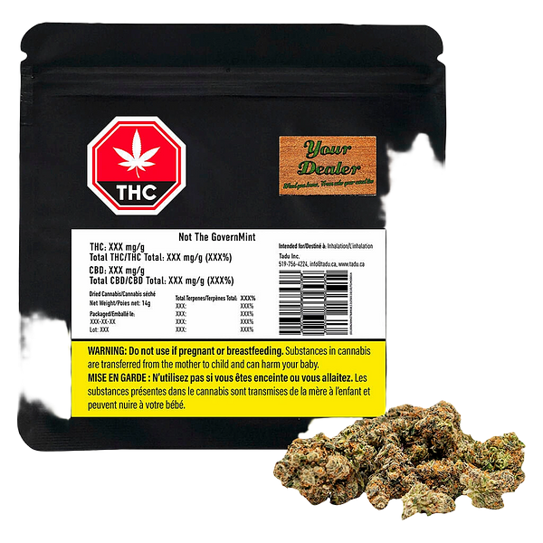 TADU - GovernMint Oasis2