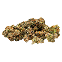 TADU - GovernMint Oasis2