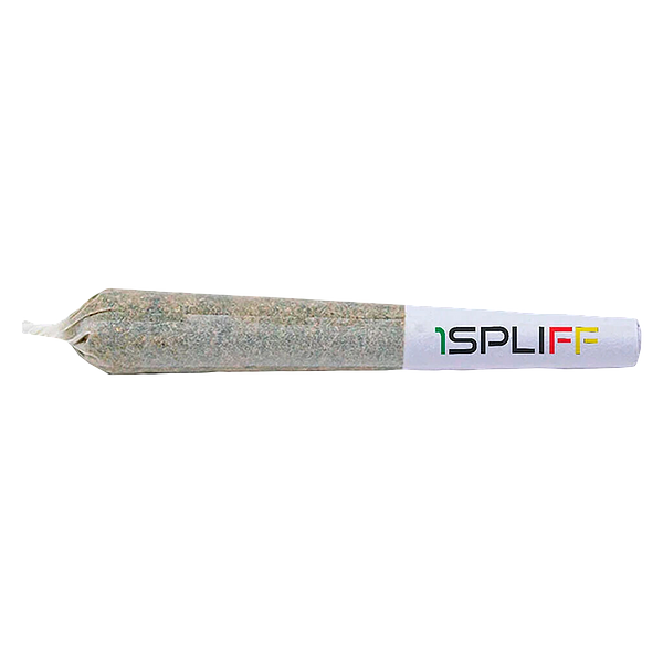 1Spliff - Caddy Mega Sampler Pack