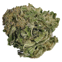 DeepValue - Deep Value