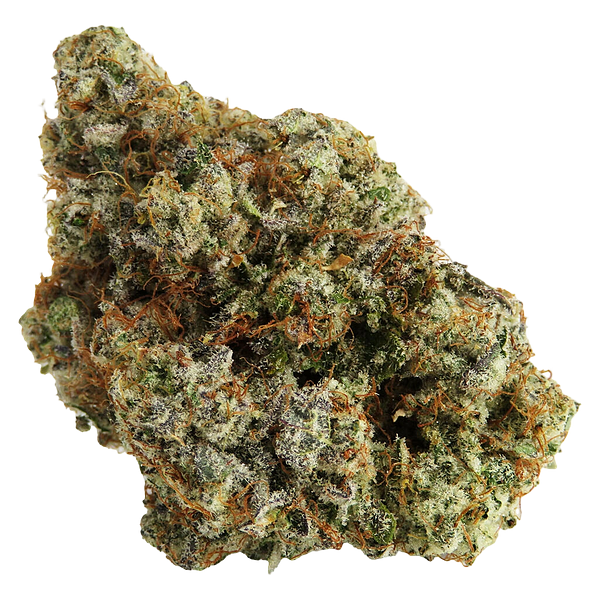 Northern Canna - Permanent Marker